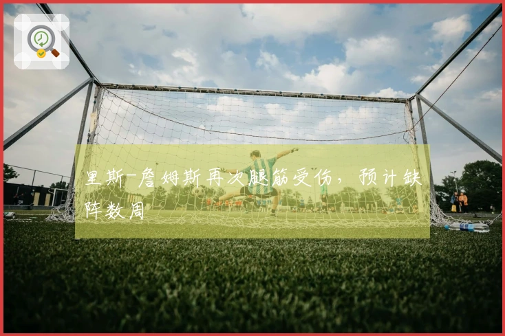 里斯-詹姆斯再次腿筋受伤，预计缺阵数周