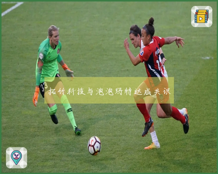 拓竹科技与泡泡玛特达成共识