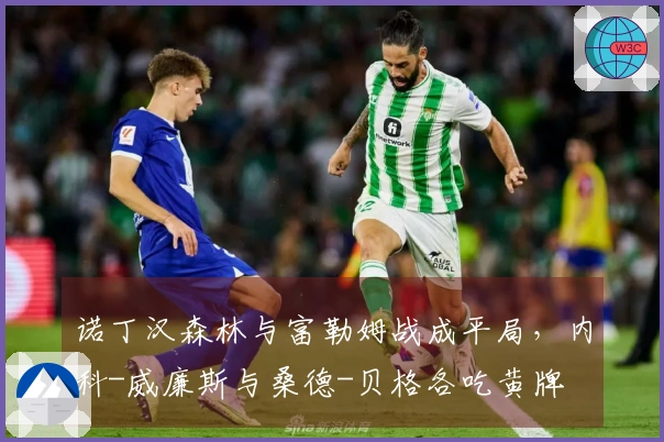 诺丁汉森林与富勒姆战成平局，内科-威廉斯与桑德-贝格各吃黄牌