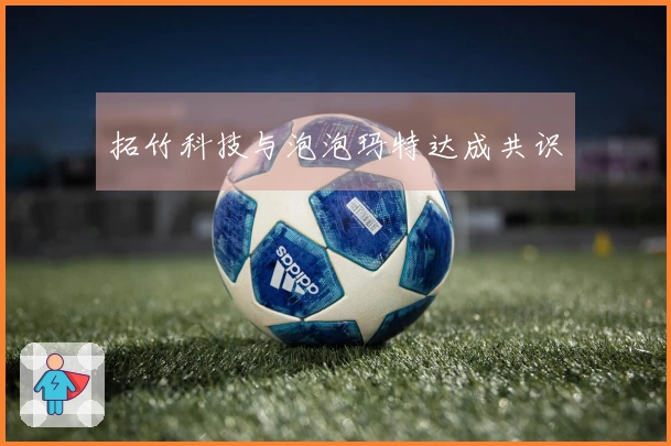 拓竹科技与泡泡玛特达成共识