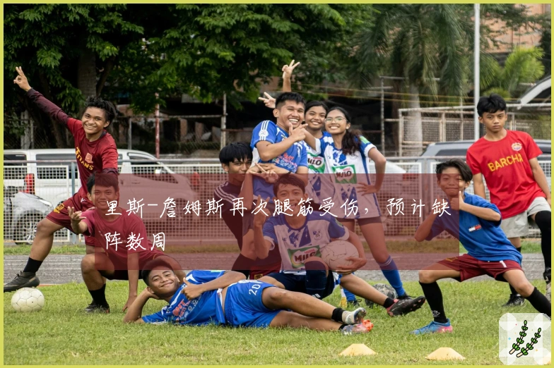 里斯-詹姆斯再次腿筋受伤，预计缺阵数周